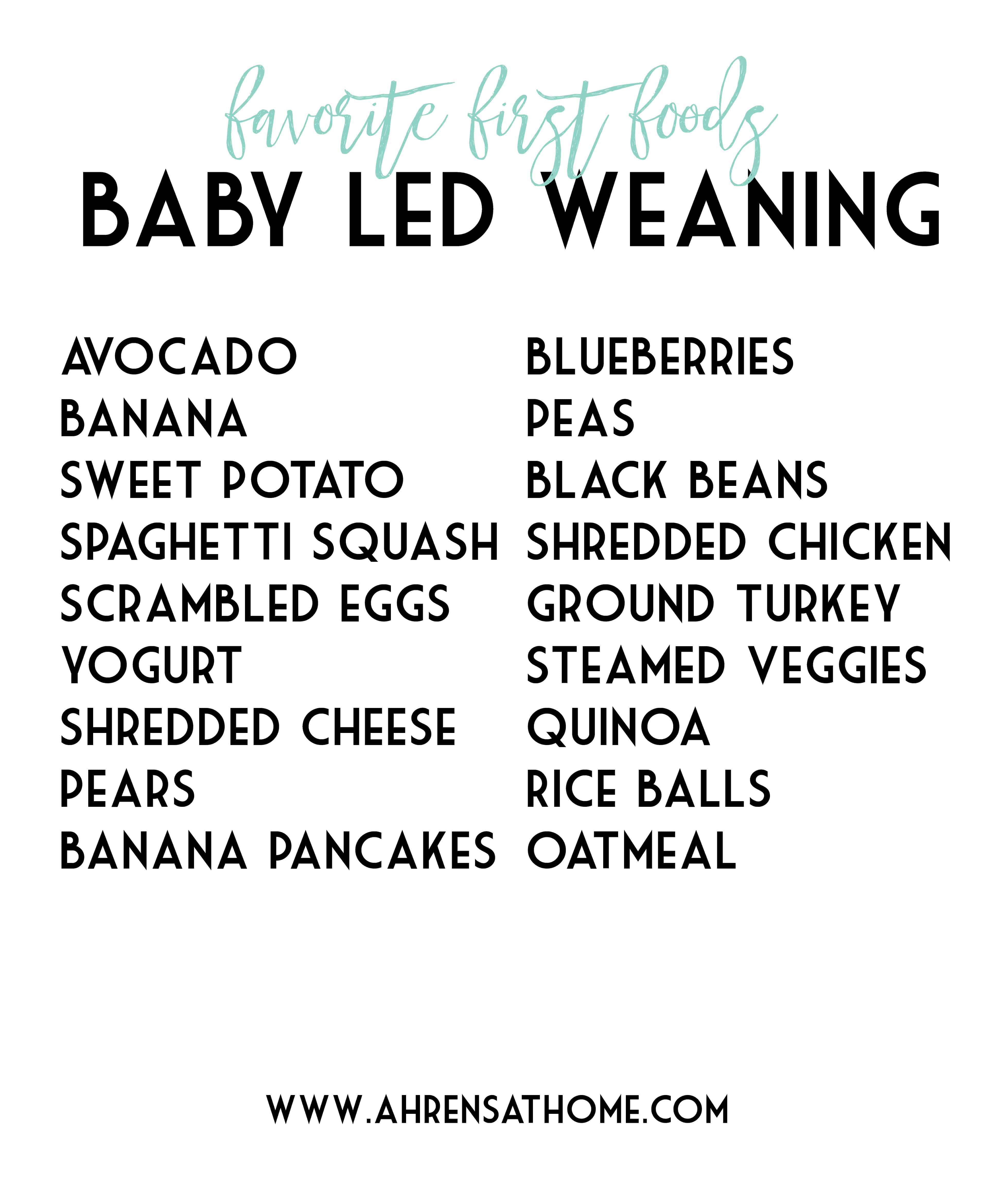 baby led weaning|Ahrens at Home