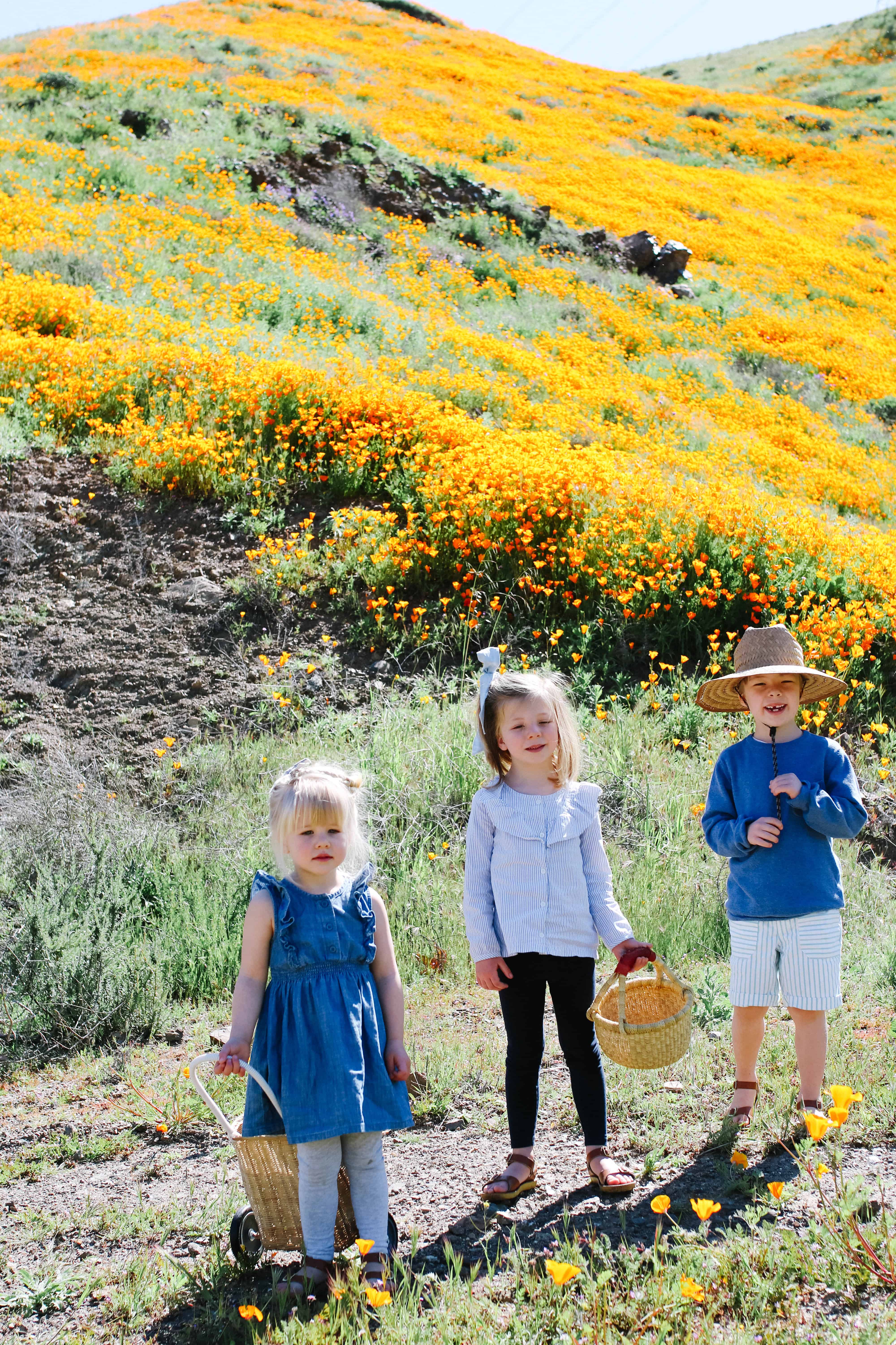 Best place for wildflower family pictures