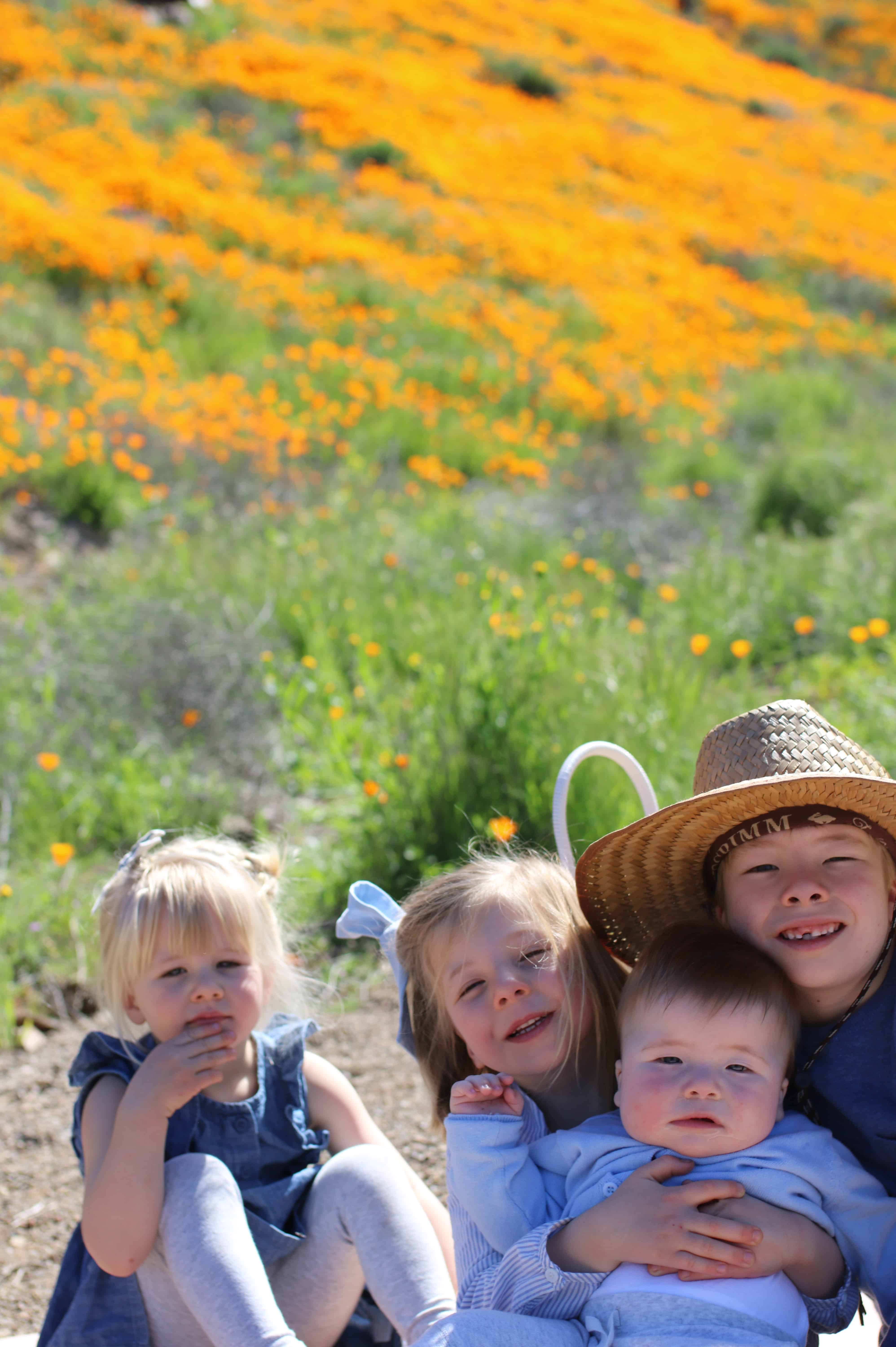 Best place for wildflower family pictures